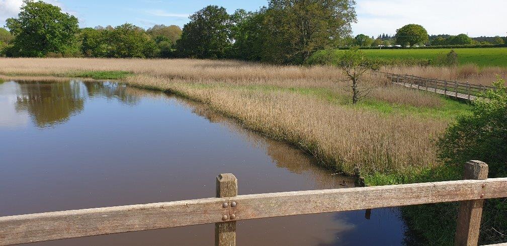 Wetlands